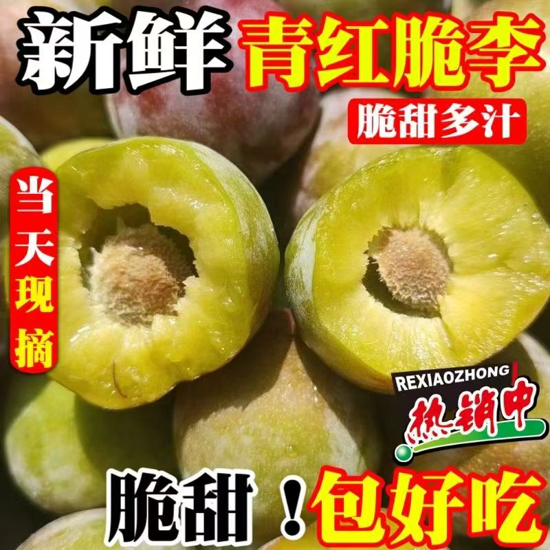 正宗四川脱骨李买3斤送2斤新鲜应季水果脆甜多汁小脆红-现摘现发