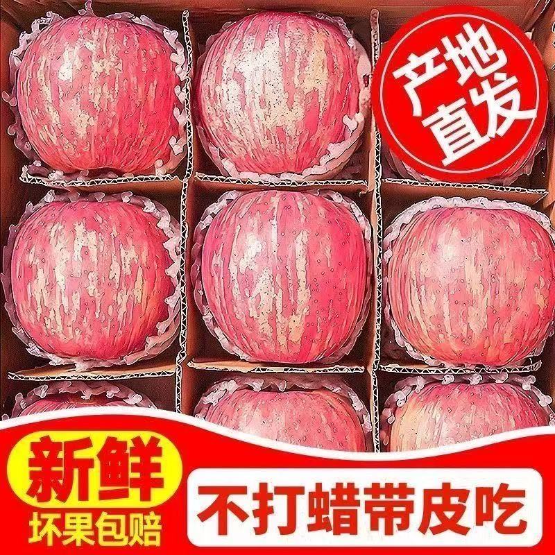 正宗产地直发包邮红富士苹果新鲜当季脆甜多汁冰糖心水果