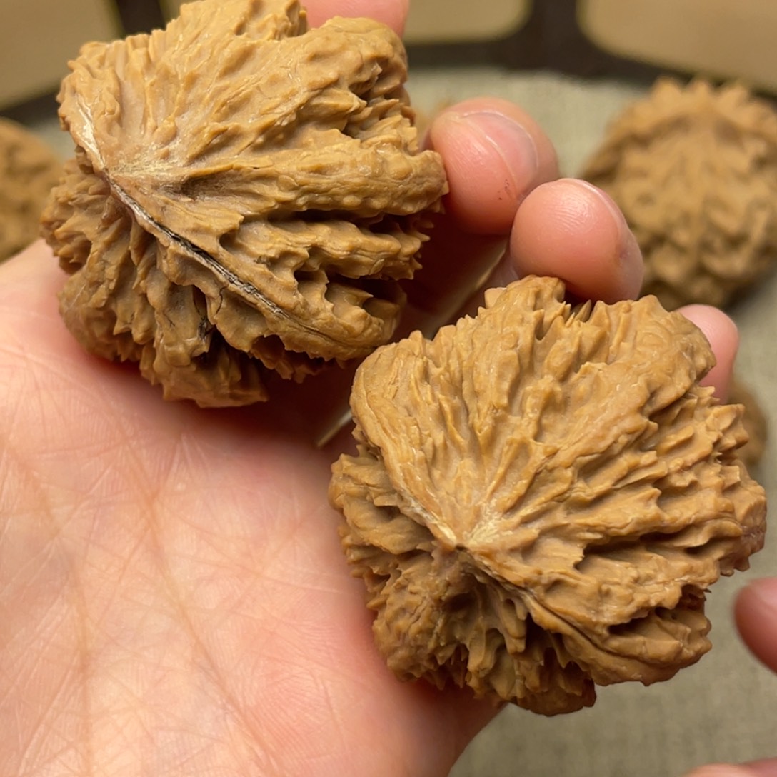 老***你核桃秦岭野生核桃7号