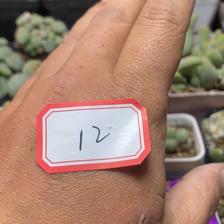 嗨***晟5666666666666666699