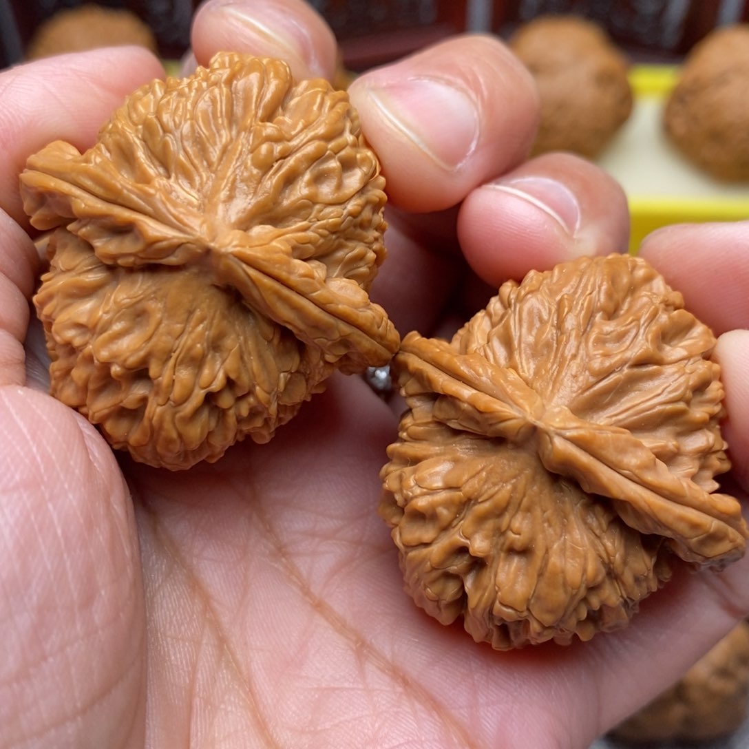 文玩核桃把件全品白狮子38尺