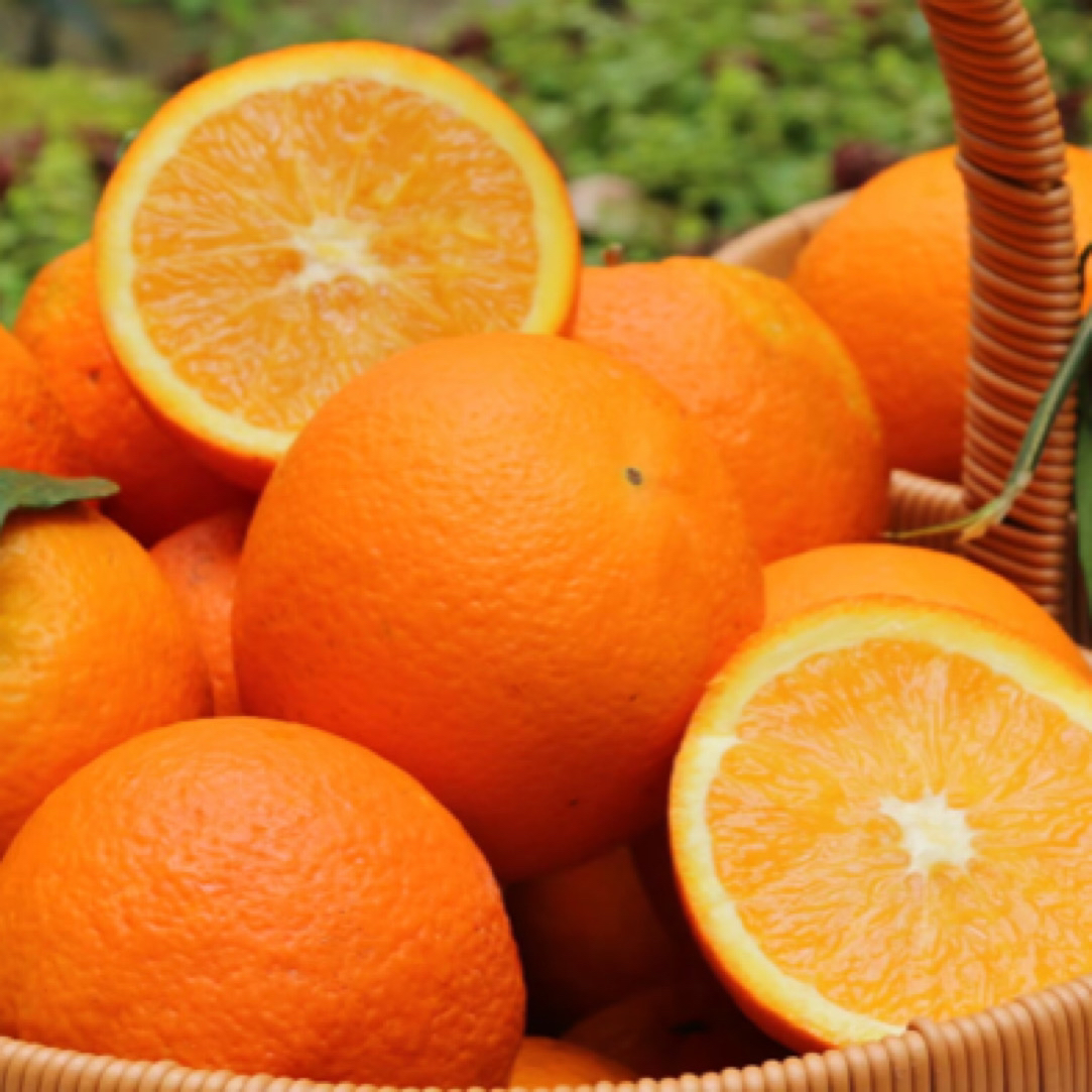 云南露天农家vc甜橙子