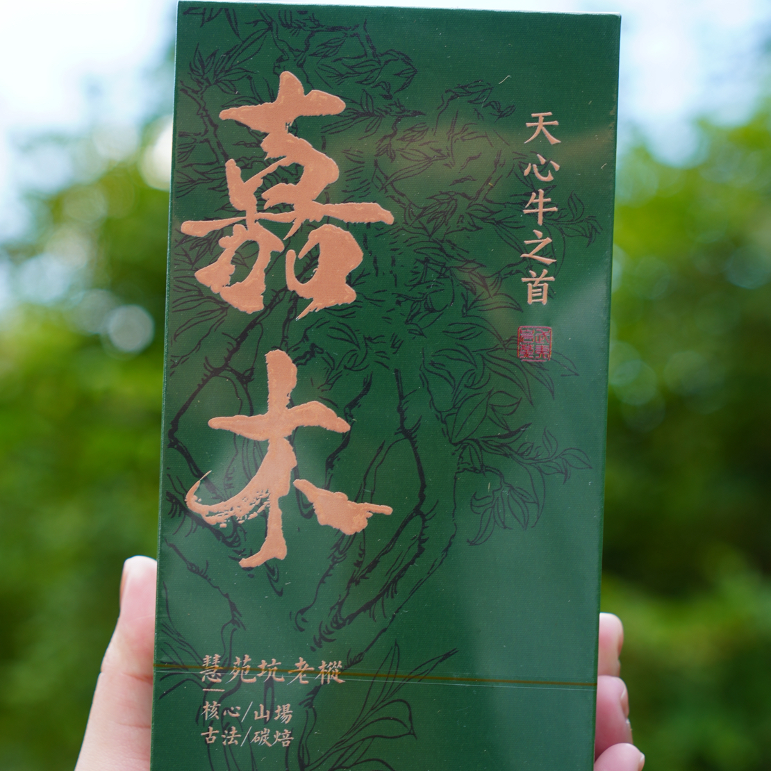 天心牛之首｜慧苑坑老丛 8.5g一泡