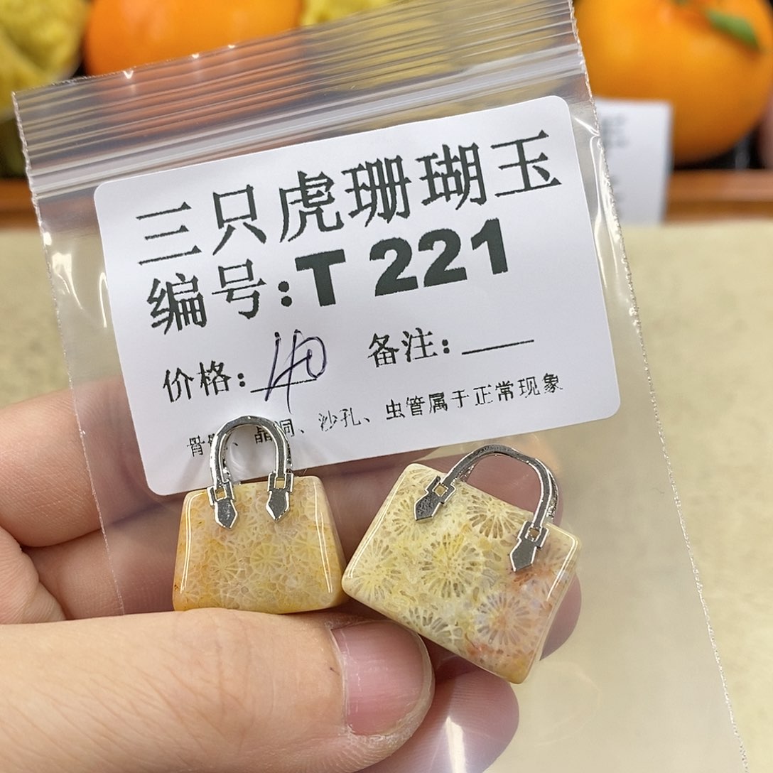 硅化珊瑚（珊瑚玉）1未镶嵌