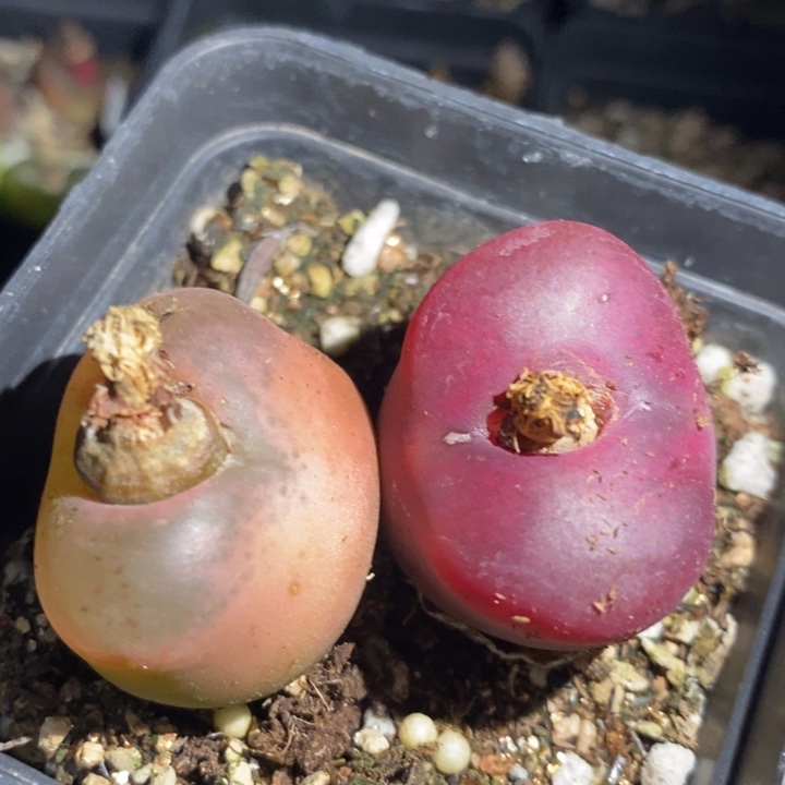 17304一组一组一组