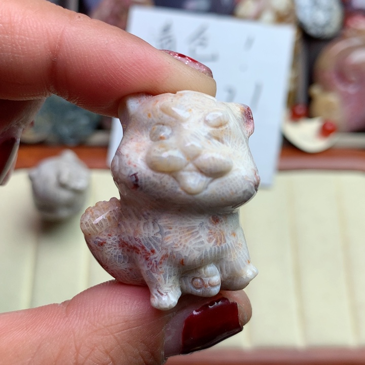 硅化珊瑚（珊瑚玉）颈饰未镶嵌