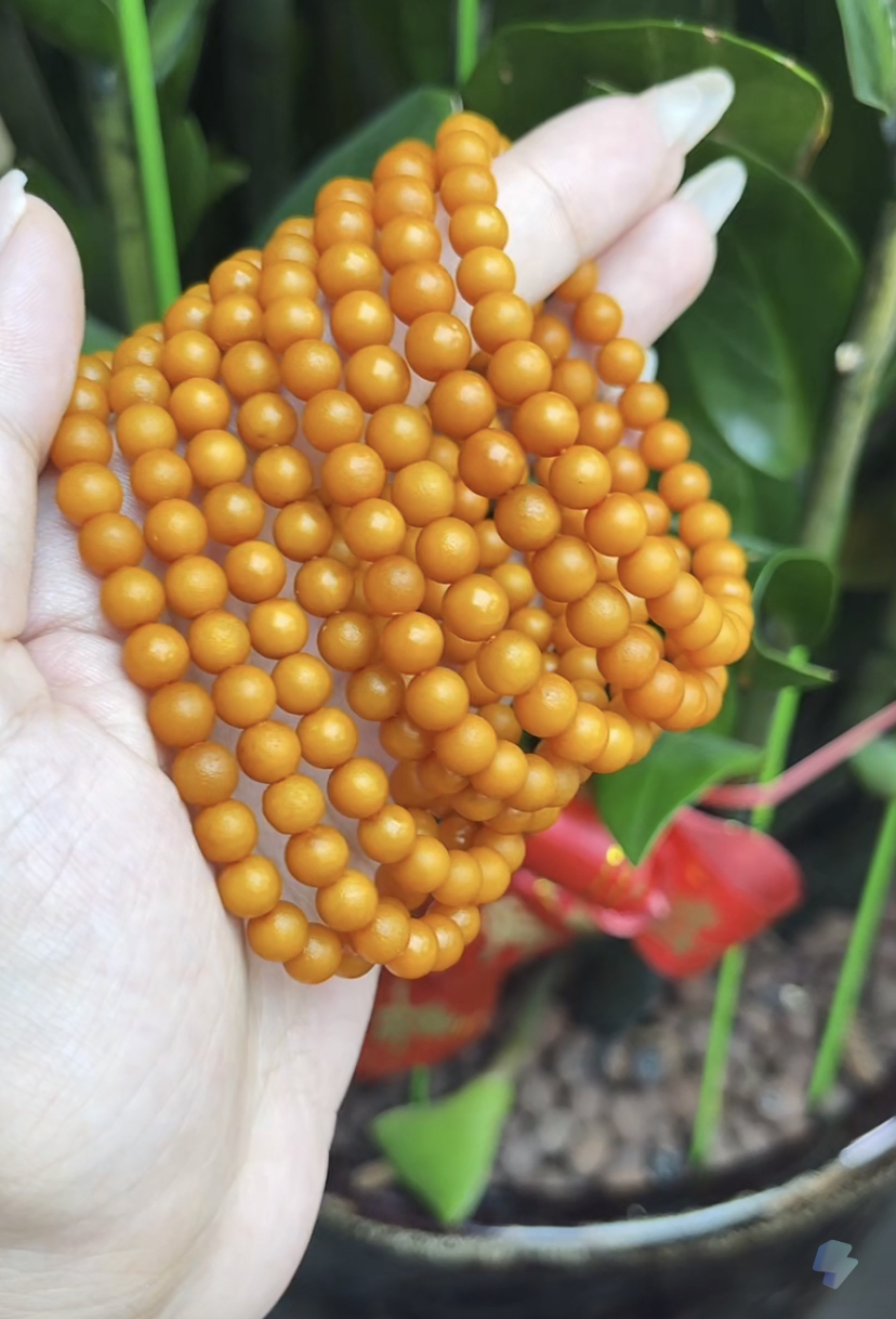 【德昌隆珠宝】天然琥珀6mm橘皮圆珠手串（多样性发其一)