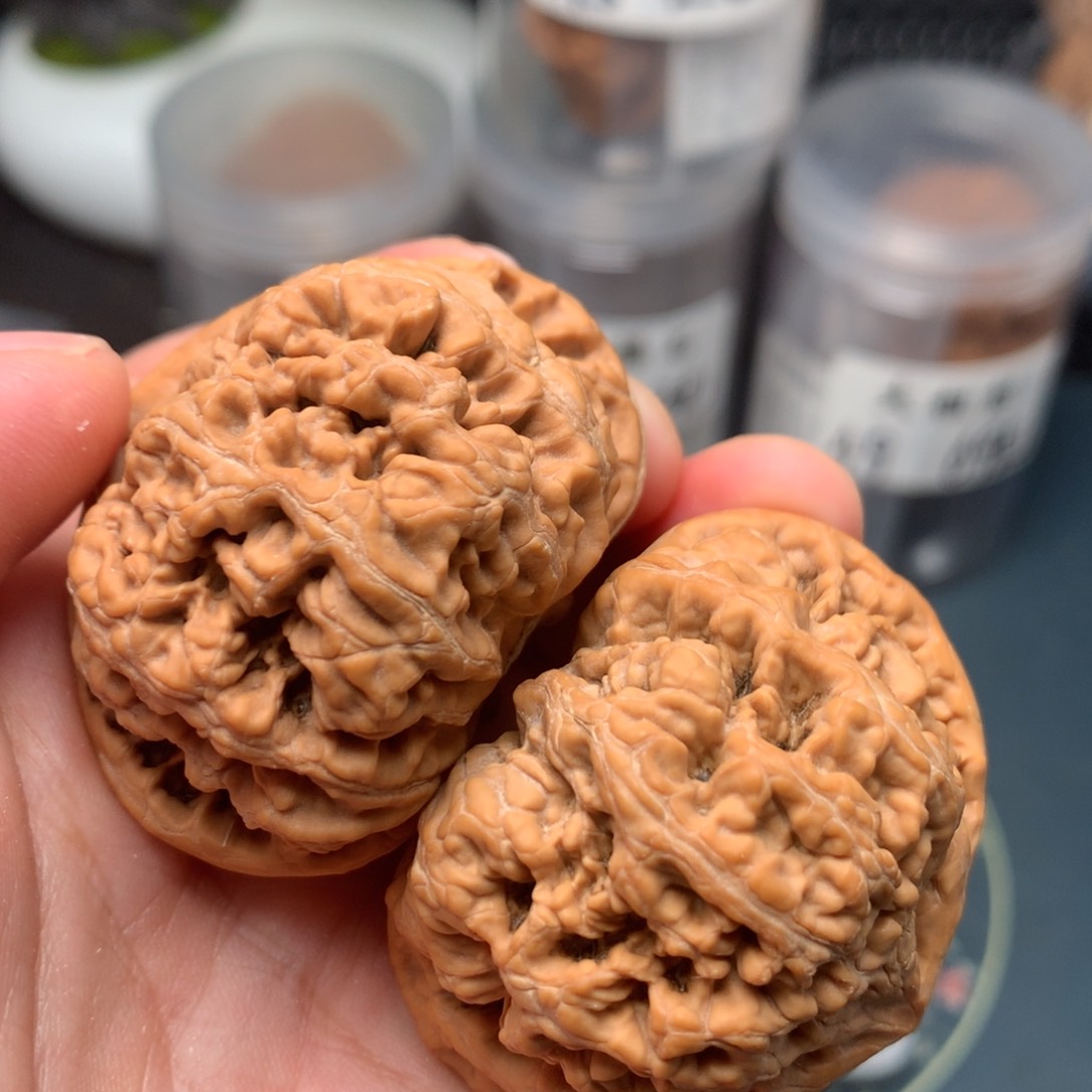 【闪购商品】桃核把件粗筋47-8528-3