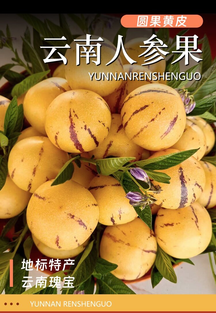 石林人参果树上熟的果圆果黄肉天然甜味全熟核心产区正品整箱发