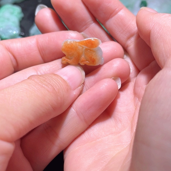 【闪购商品】翡翠颈饰未镶嵌天然翡翠