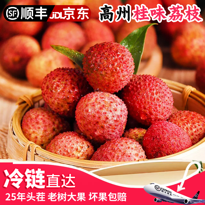 【顺丰冷链】茂名高州老树桂味荔枝当季新鲜采摘产地直发