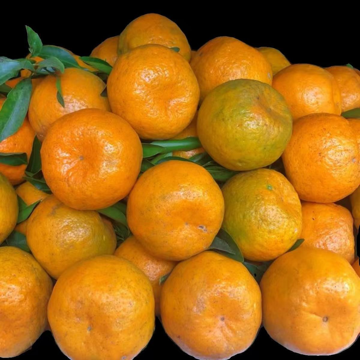 《砰柑》湖北农家砰柑5斤