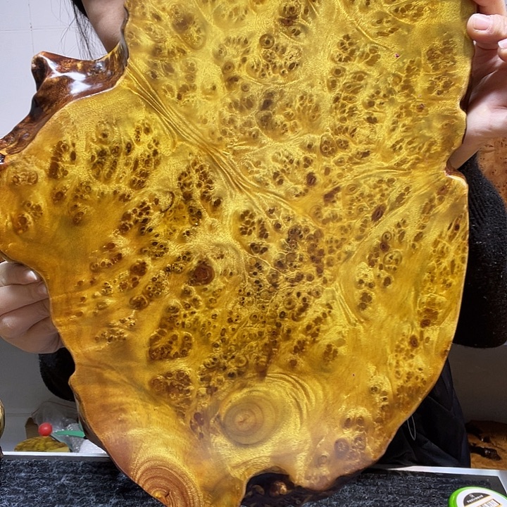 方***圆黄金樟黄金樟干泡