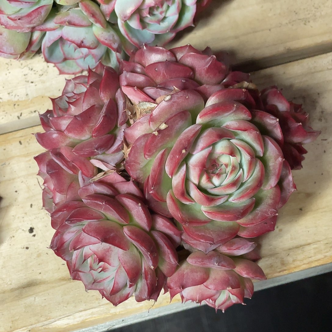 郭***吖一物一拍28包邮非偏远