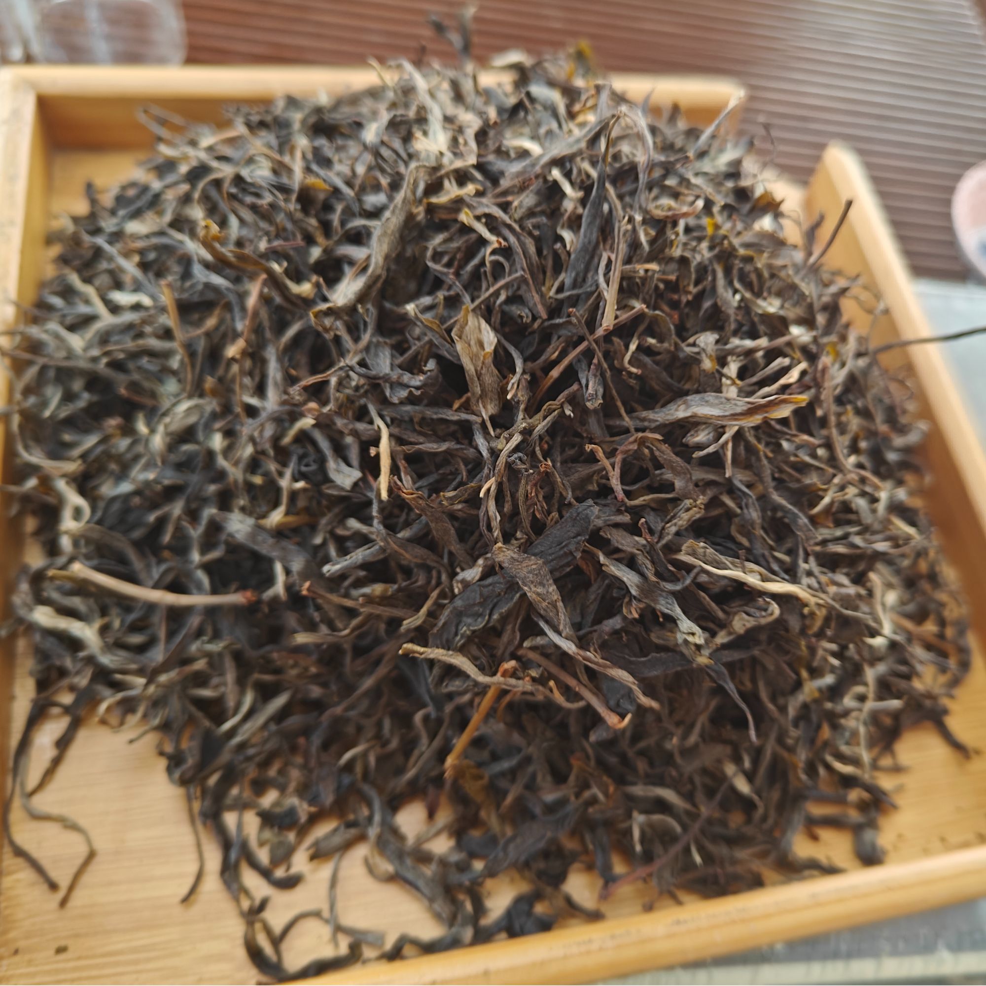 【一周年专属】杨家组长杨国禹-古树混采-2021年春-晒青毛茶散料