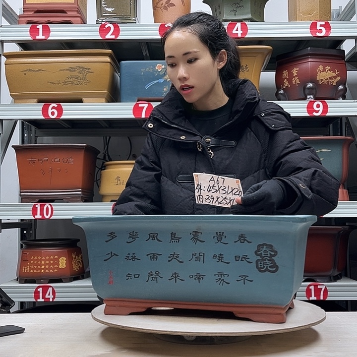 紫砂花盆紫砂花盆