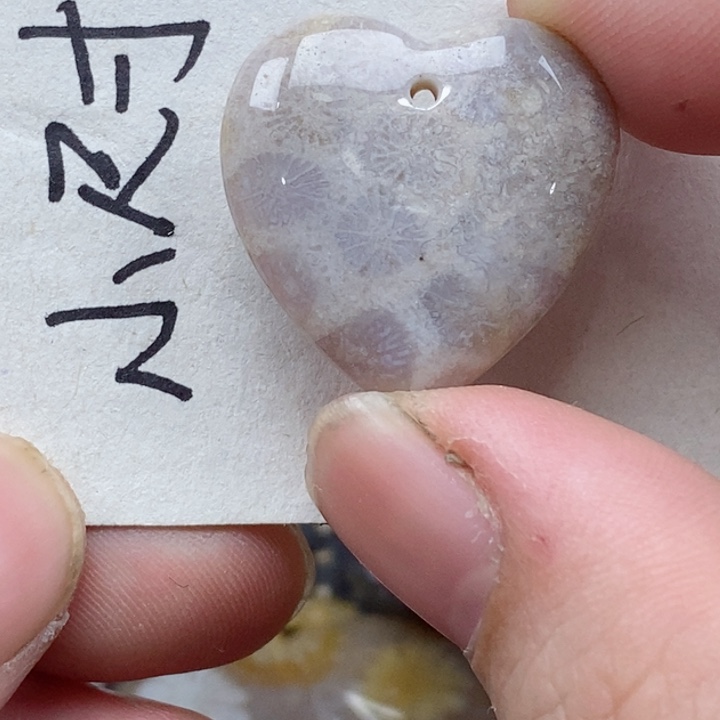 颈饰未镶嵌硅化珊瑚（珊瑚玉）