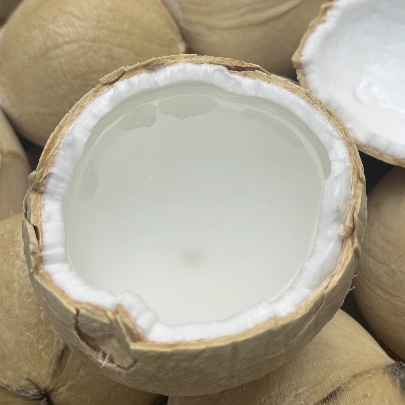 椰皇多汁清甜好饮【新】