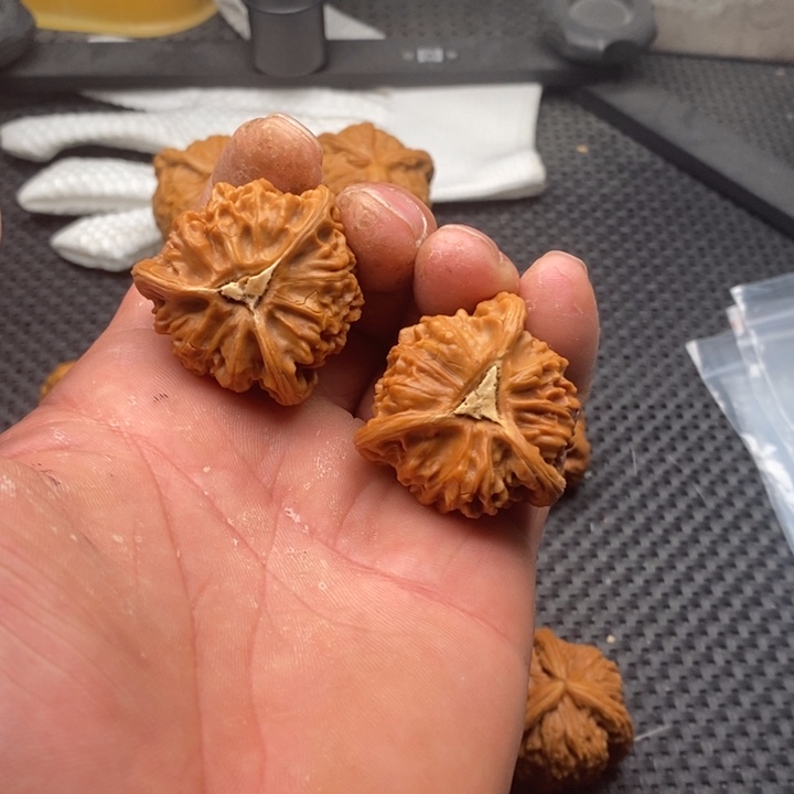 核桃把件陈*森拼接宫灯11