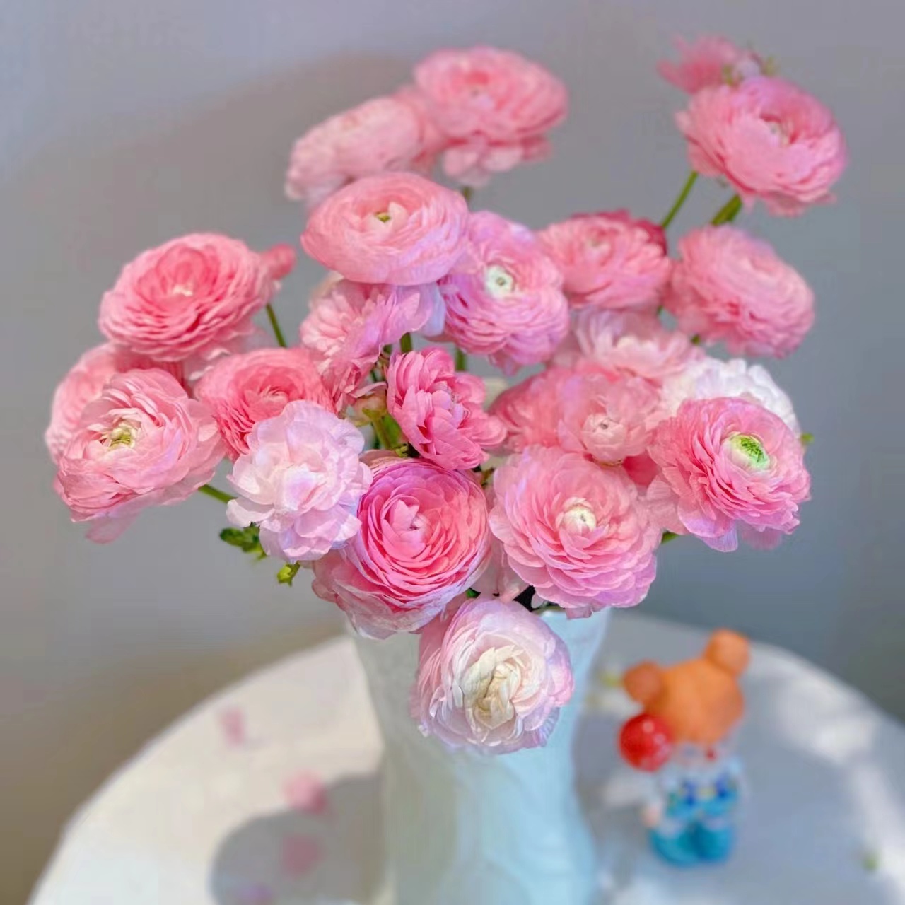 10枝粉色洋牡丹 生花苞小需养开带包装醒花 两单发顺丰或京东快递