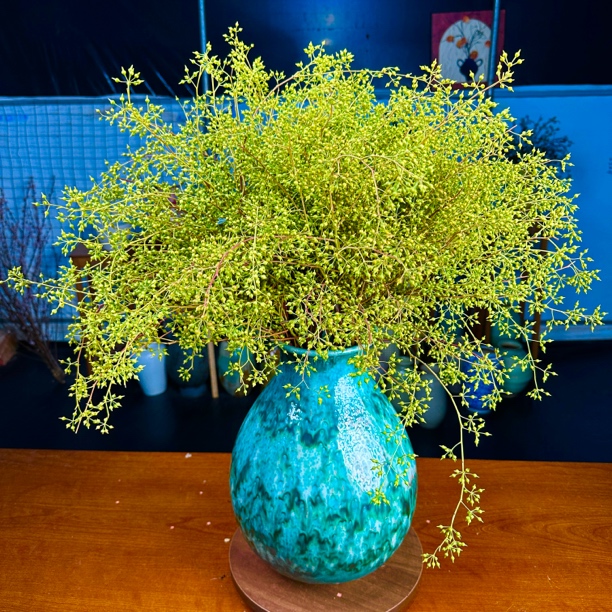 小米果鲜切枝小众花材鲜花可做干花水养插花直播间现场直播卖花