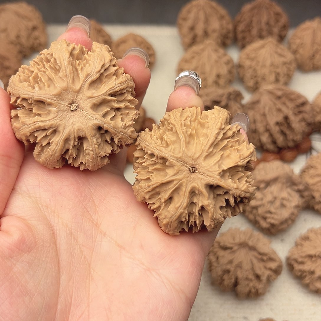 文玩核桃吊坠用****4秦岭山脉和天山山脉14