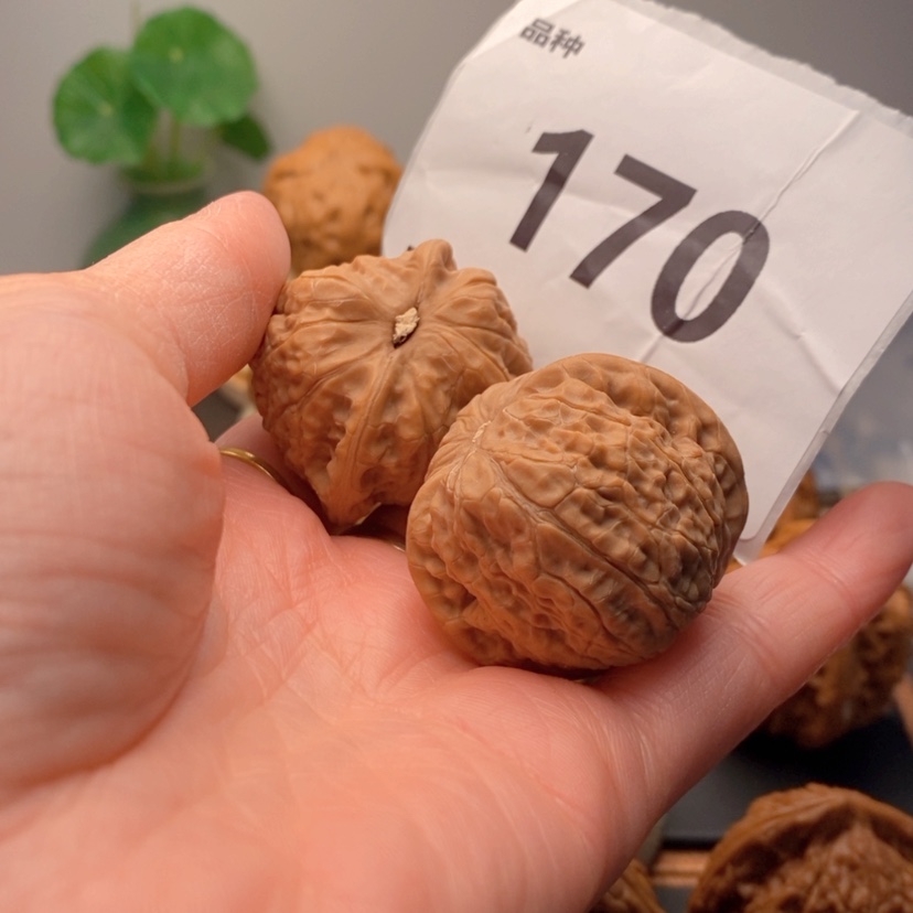 【闪购商品】文玩核桃吊坠煜*170乾隆磨