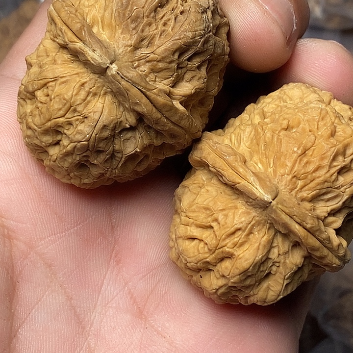 文玩核桃把件云南铁核桃64