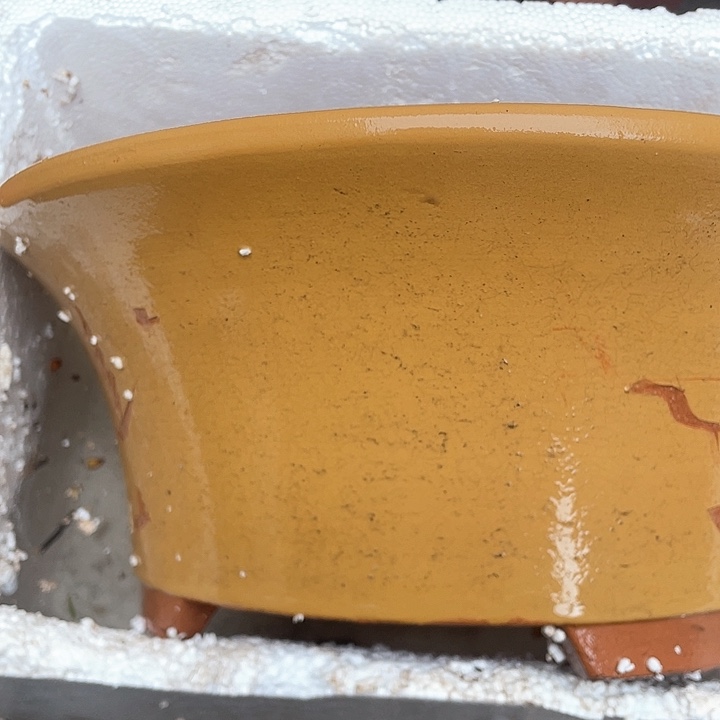 紫砂27黄票口花盆花盆