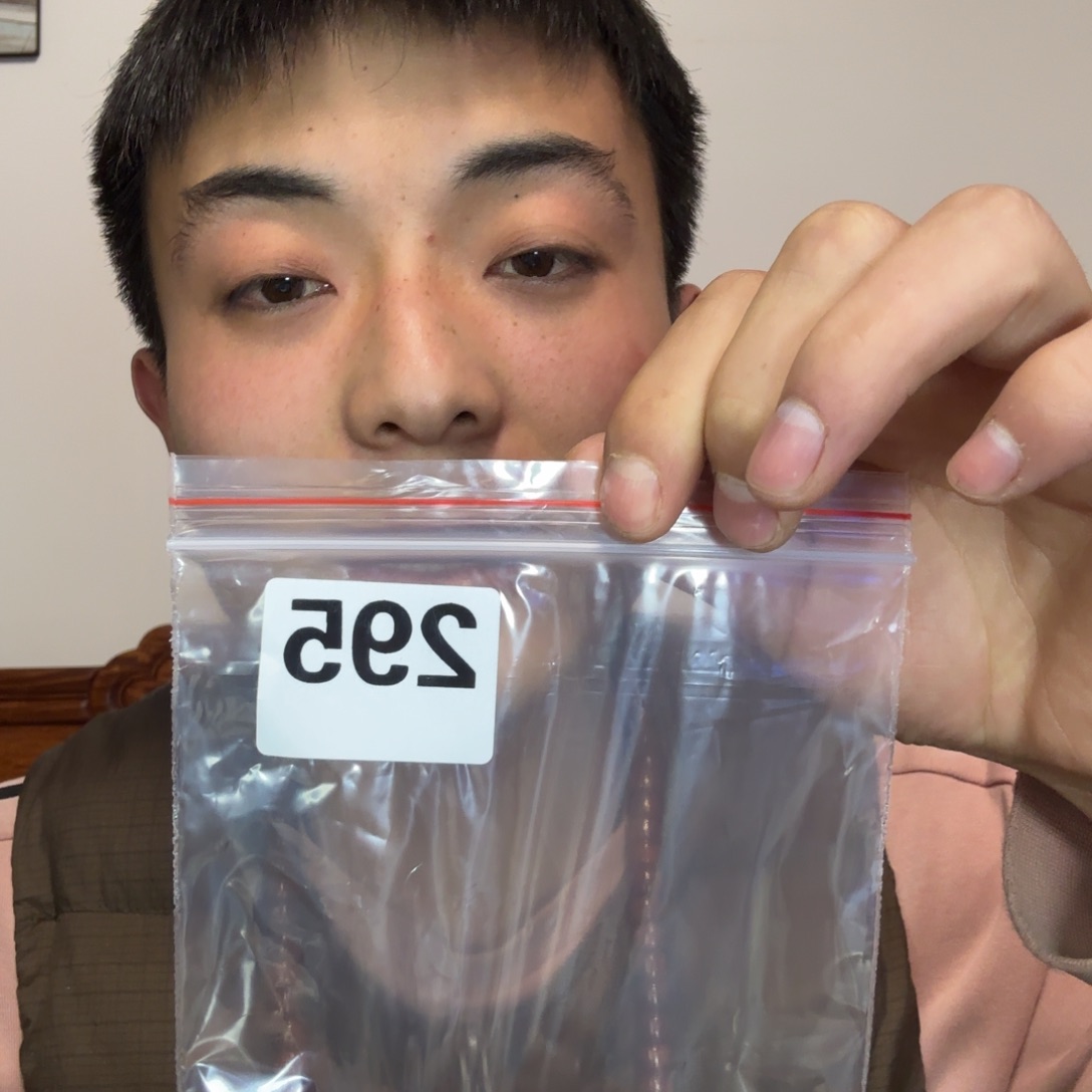 大果紫檀（缅甸花梨）295