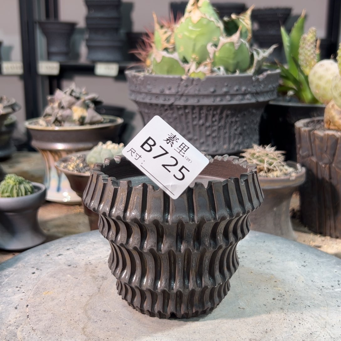 景德镇素里手工内面9.5高9.3