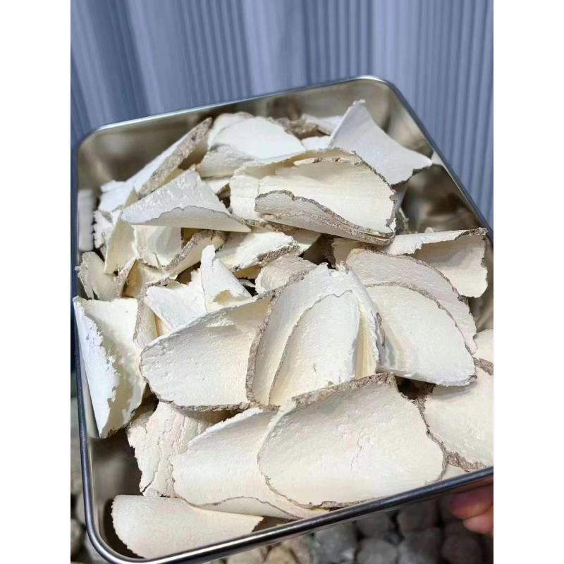 严选中心片琥乳菌