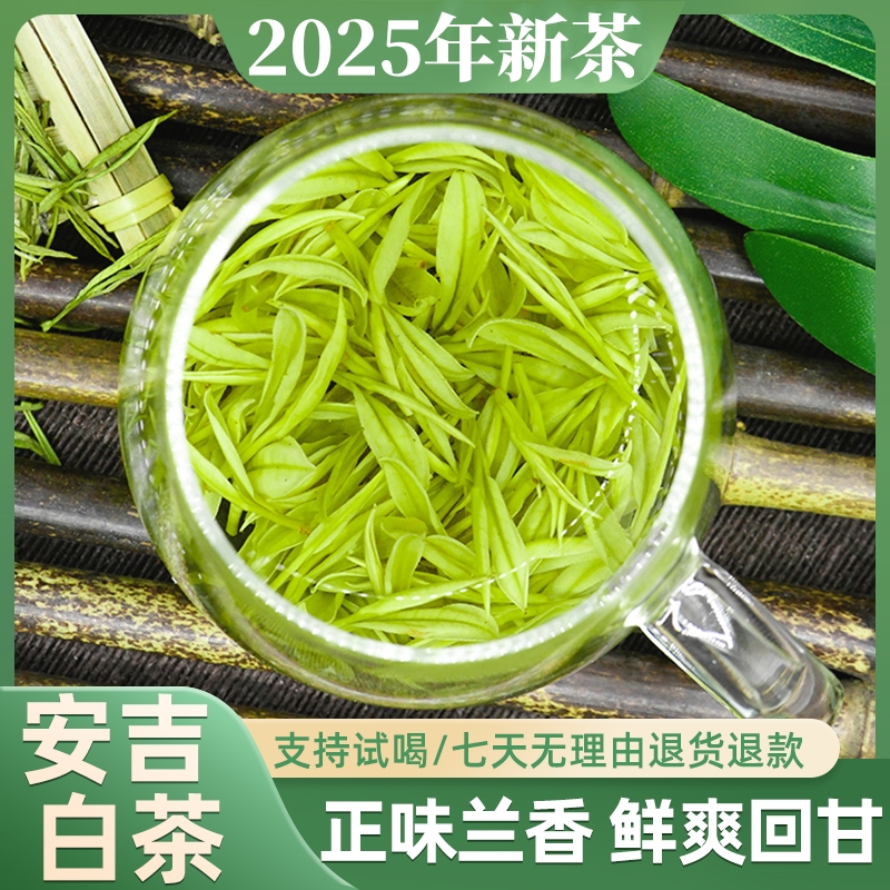 [25年新茶]安吉白茶核心原产地高山绿茶鲜爽兰花香散装茶叶A288
