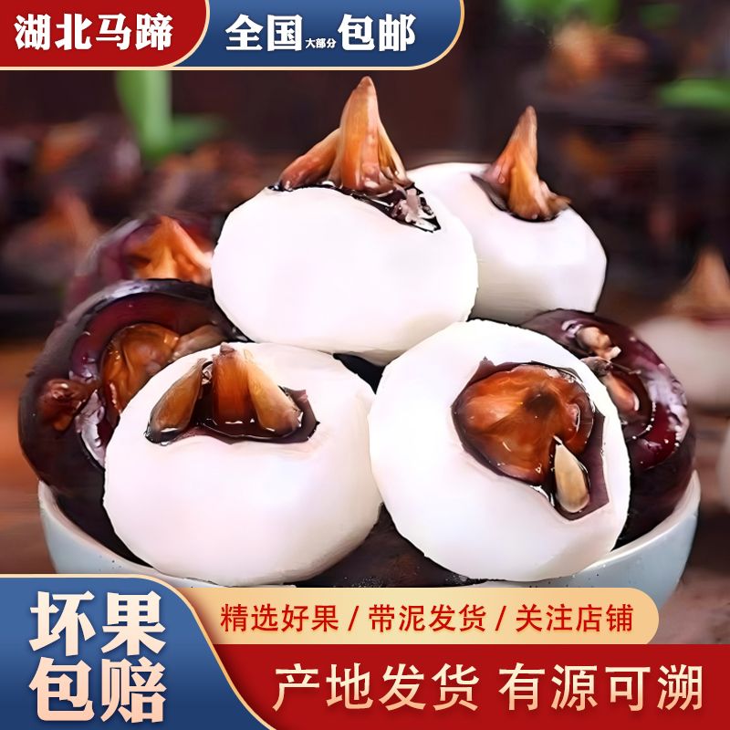 新鲜马蹄荸荠5斤大果马蹄包邮新鲜水果当季现挖荸荠 脆甜爽口多汁