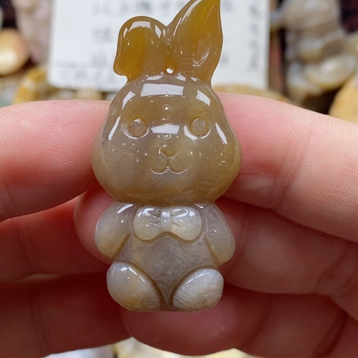 硅化珊瑚（珊瑚玉）颈饰未镶嵌