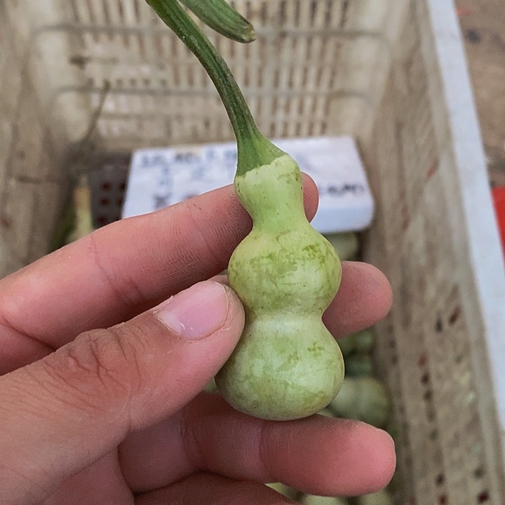宝****密哈哈哈哈哈哈哈哈哈哈
