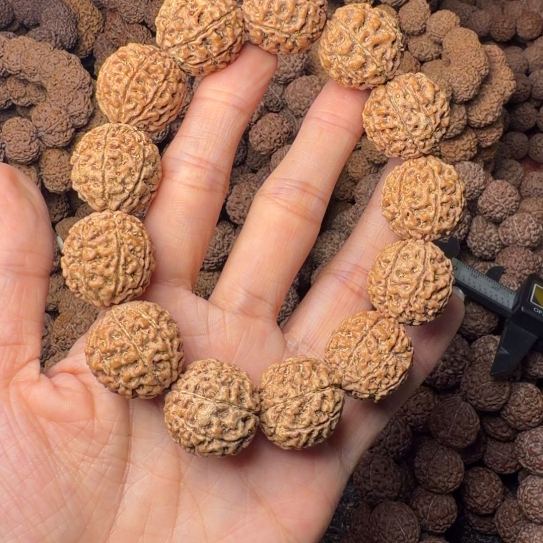 手串金刚菩提8瓣卡20尺，95号