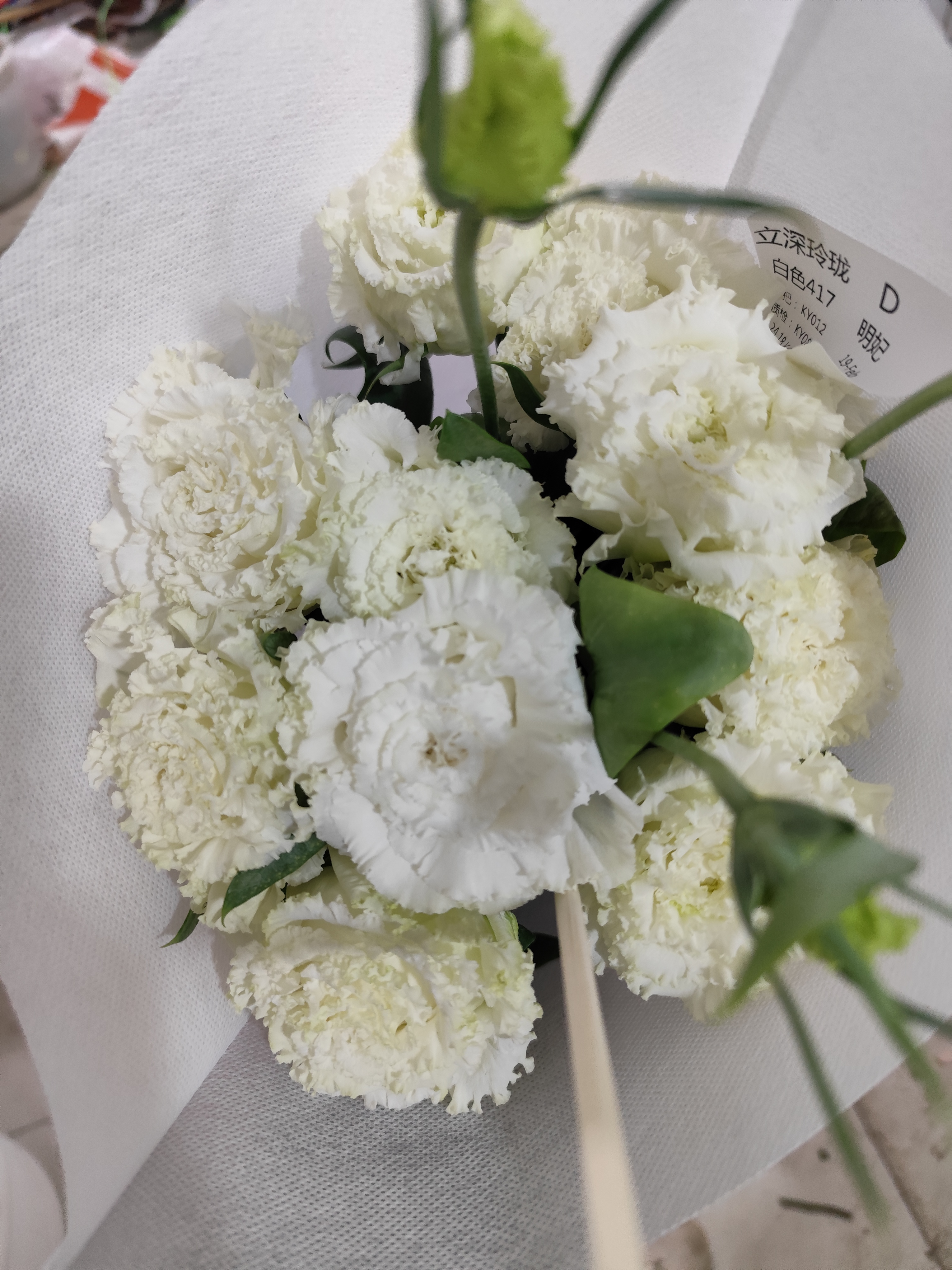 立深洋桔梗明妃d级 任意两单顺丰冷链包邮