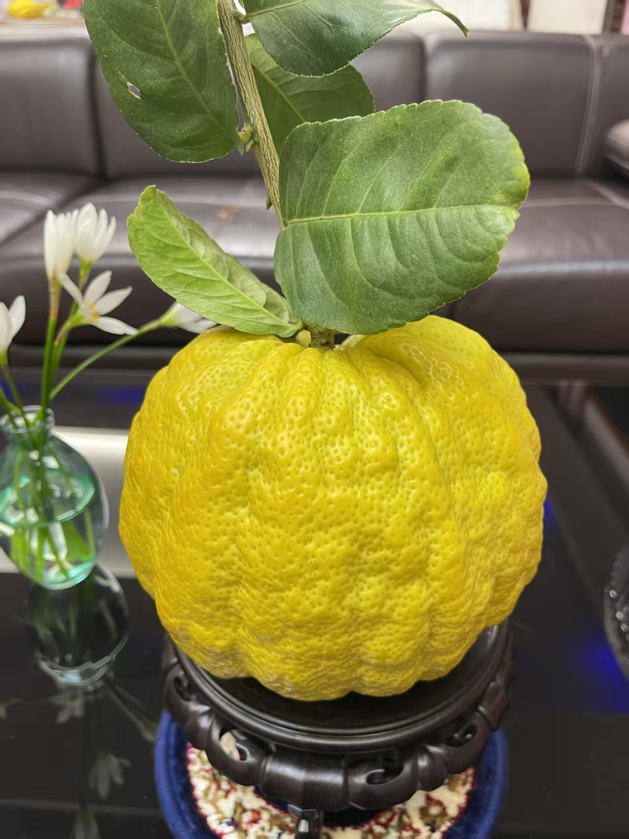 云南香橼果新鲜现采现发(一物一拍)链接