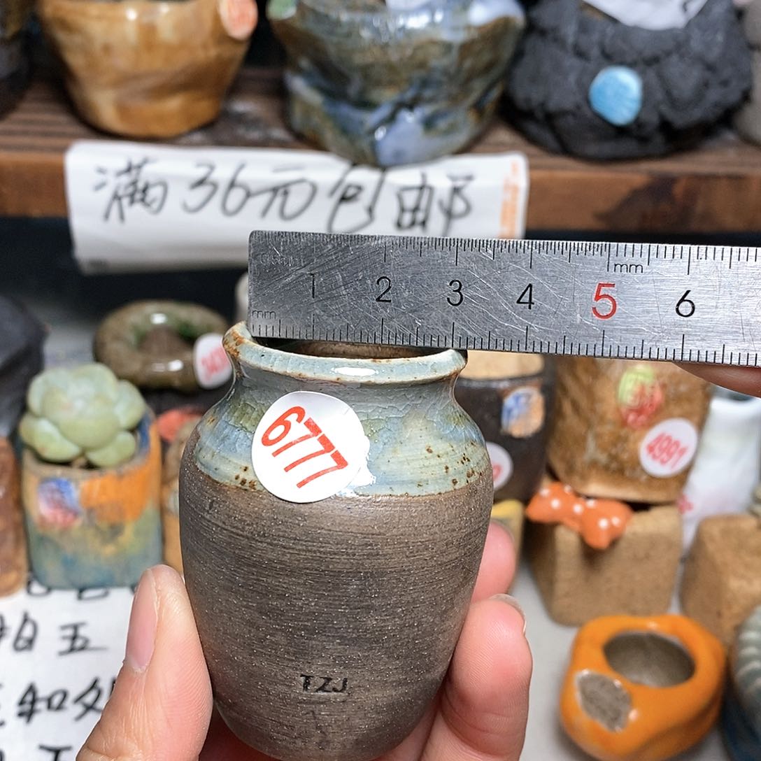 红陶拍5送一个小