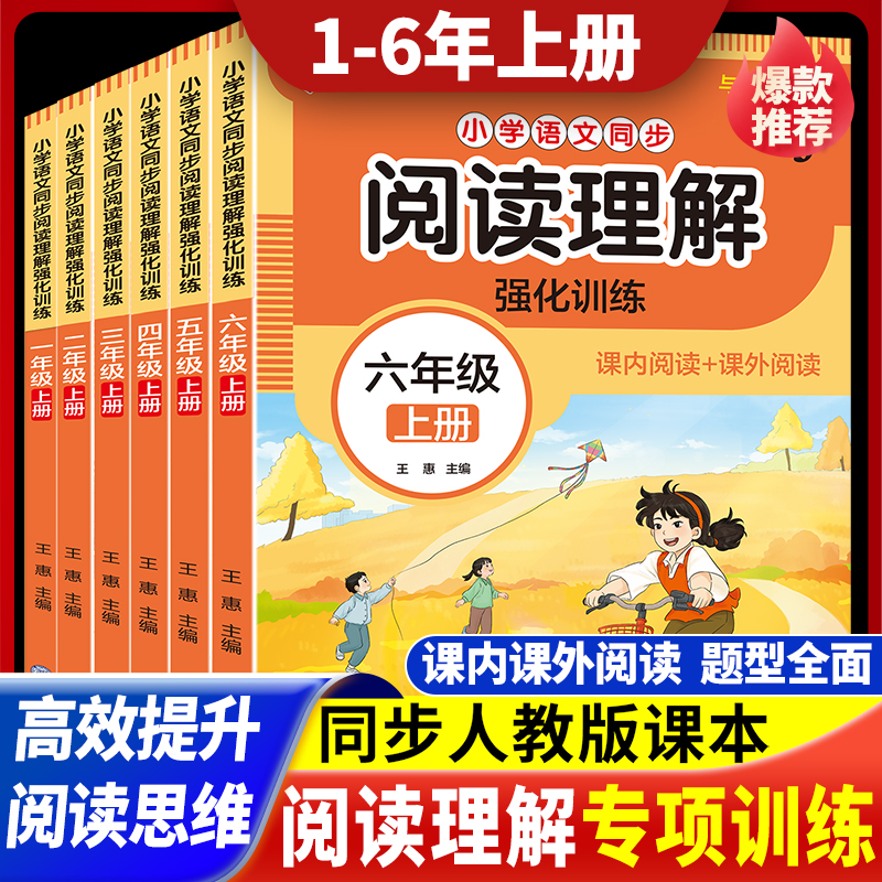 一二三四五六年级上册阅读理解专项训练书籍人教版语文每日一练