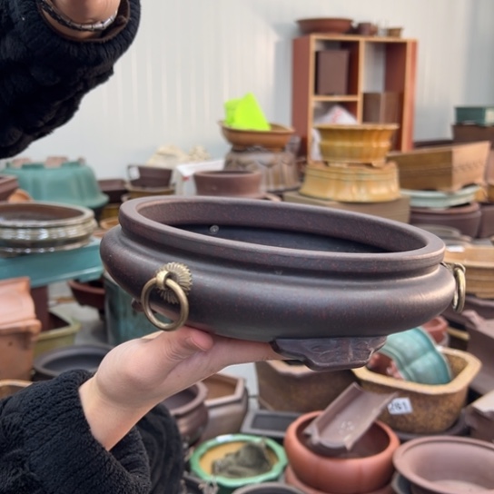 紫砂花盆里放的东西也