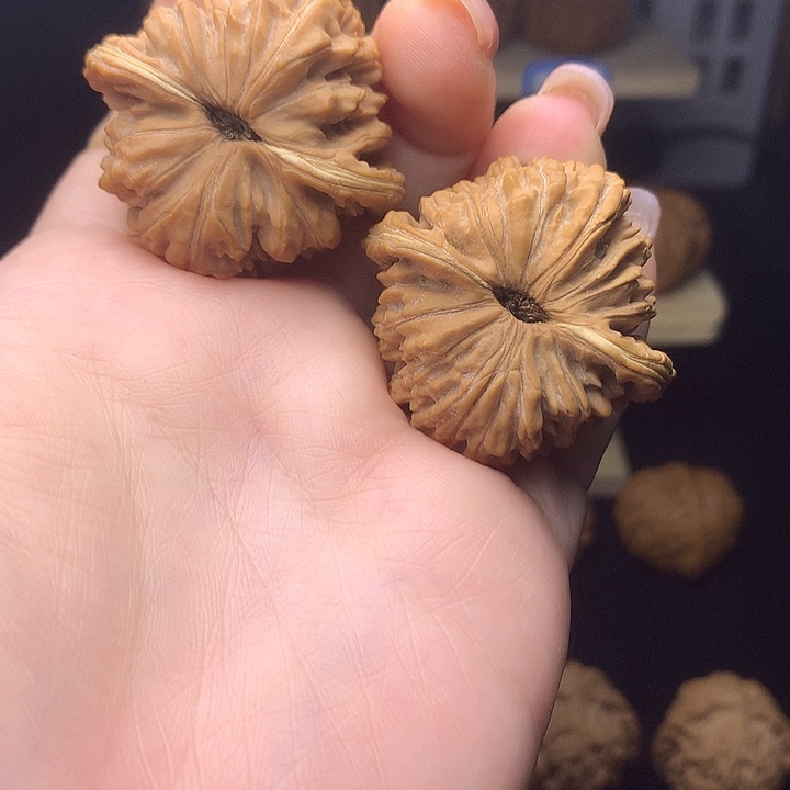楼子3333333333333333333333