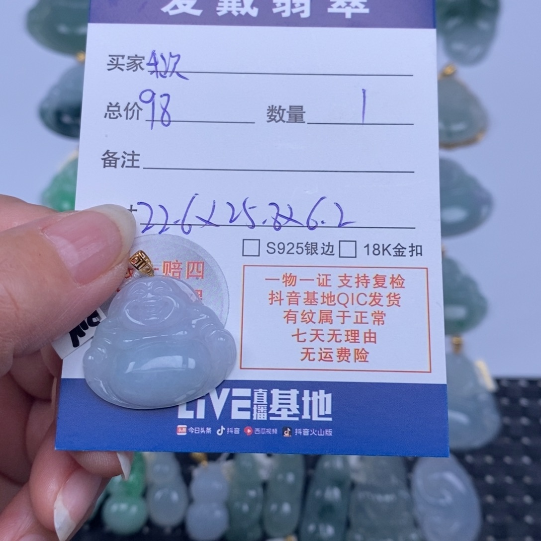 䅆***讂翡翠未镶嵌颈饰天然翡翠