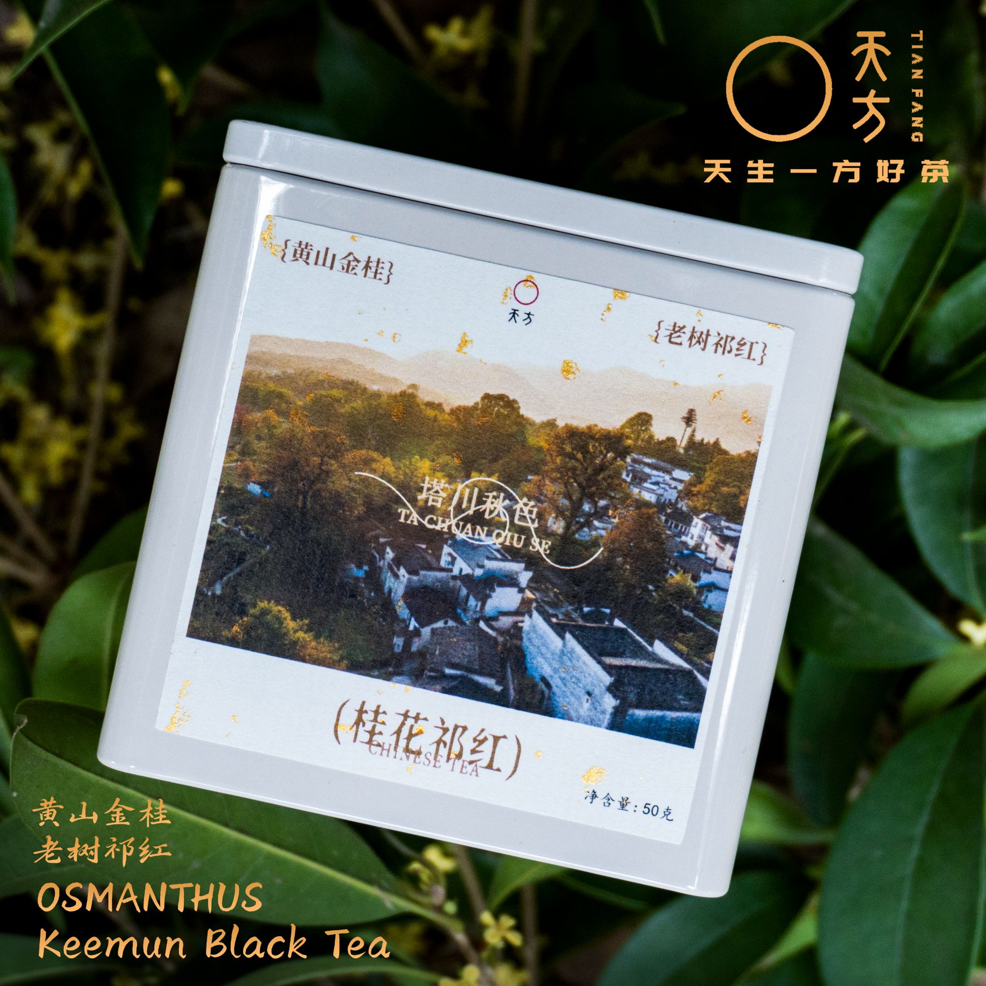 【金桂祁红】2025春茶特级手工高山新茶桂花红茶茶汤色泽花香蜜韵 