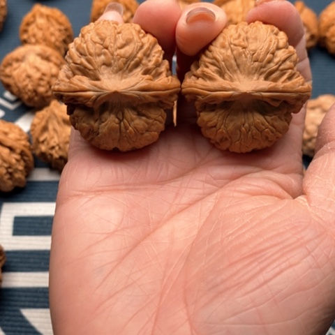 橄榄核手串/手链1**。黑金刚