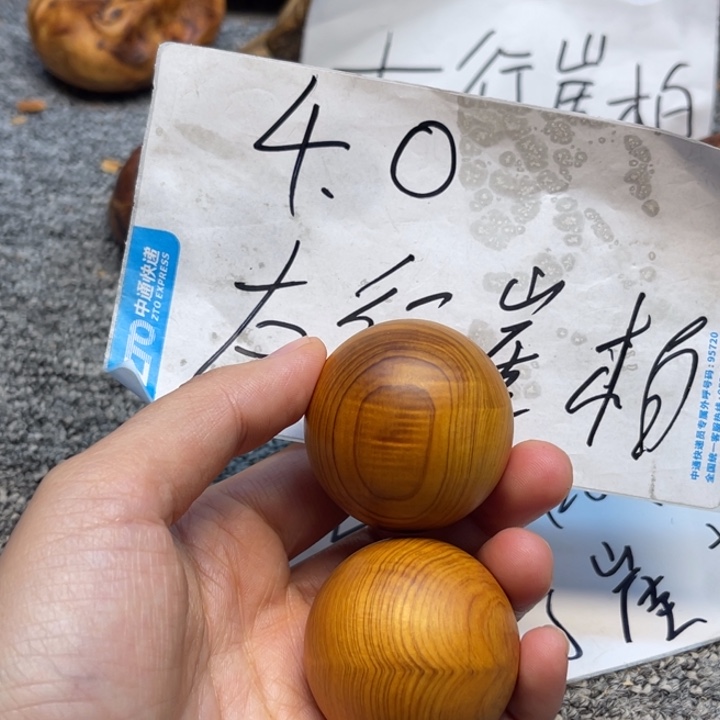 柏木（崖柏）崖柏36