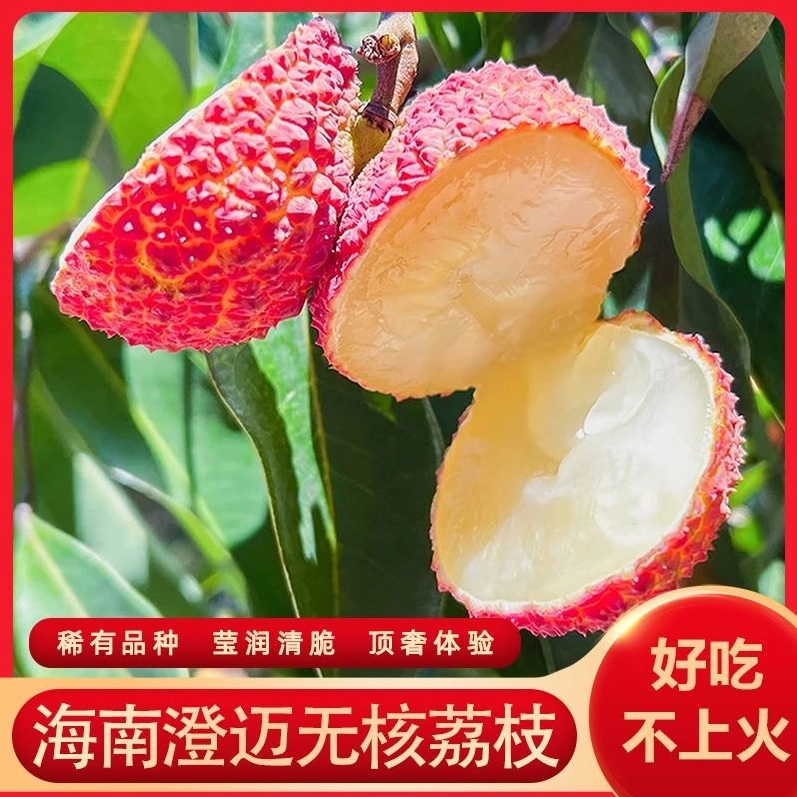 PG【冷链直达】现货无核荔枝新鲜当季水果现摘现发冷链保险运输