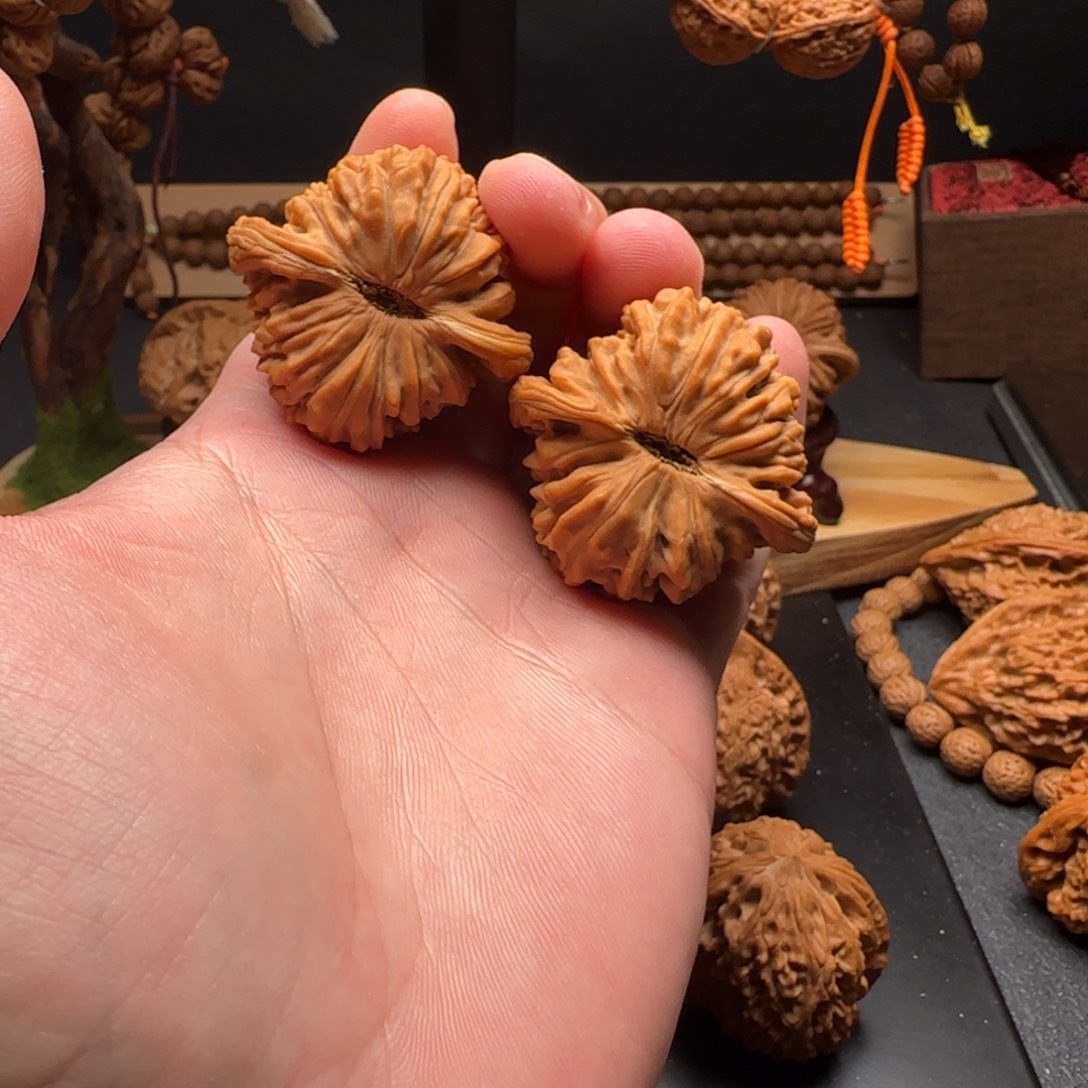 核桃四座楼全品无修