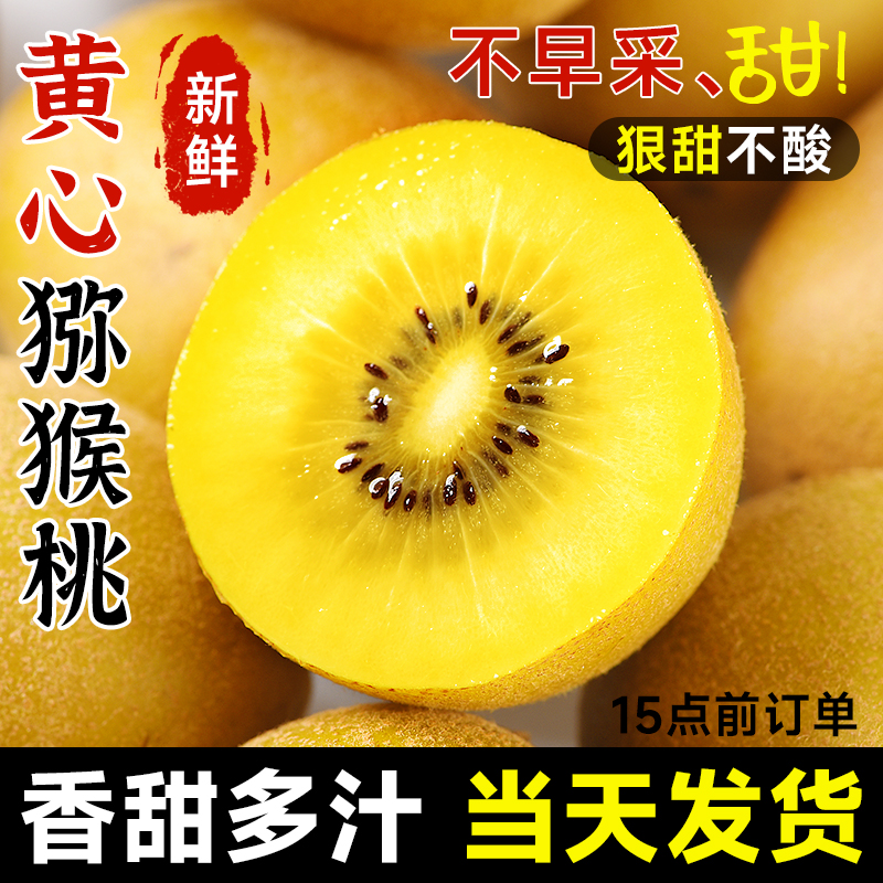 四川黄心猕猴桃奇异果新鲜特大水果应当季弥猴桃大果孕妇整箱包邮